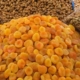 Getrocknete Aprikosen in einem Souk in Riad.
